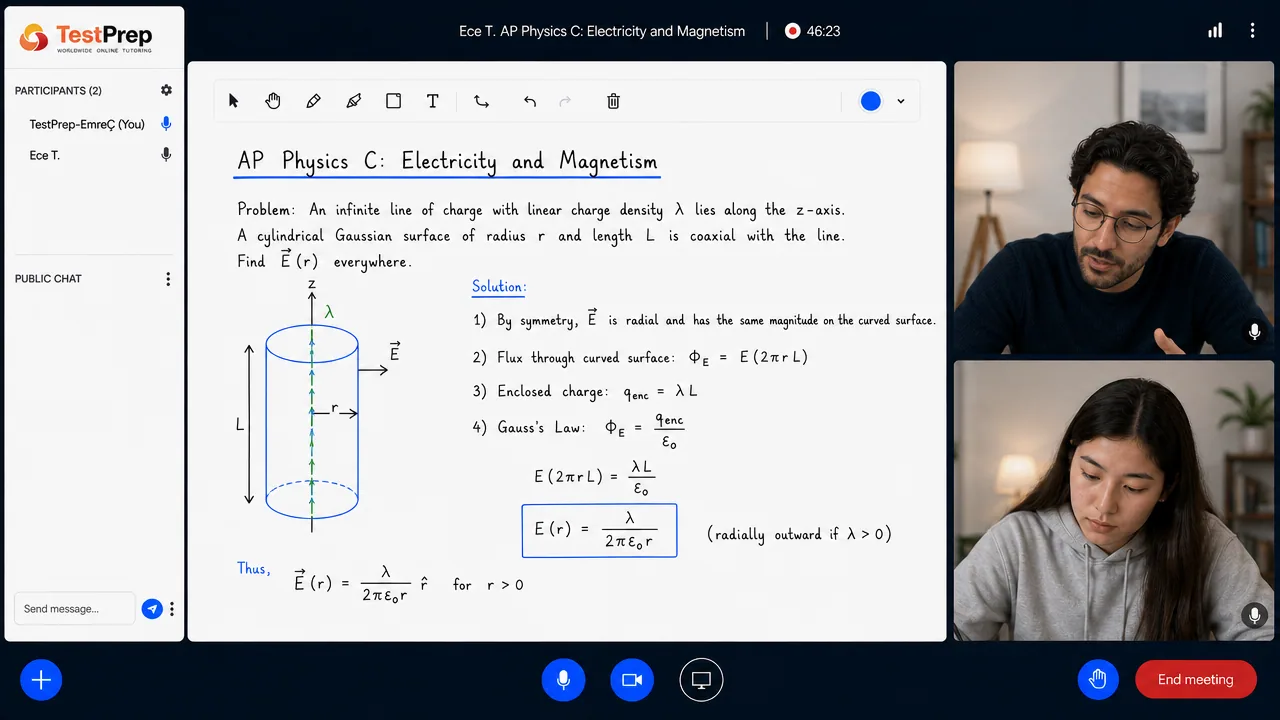 AP Physics C: Electricity and Magnetism 1-to-1 lesson in the TestPrep classroom
