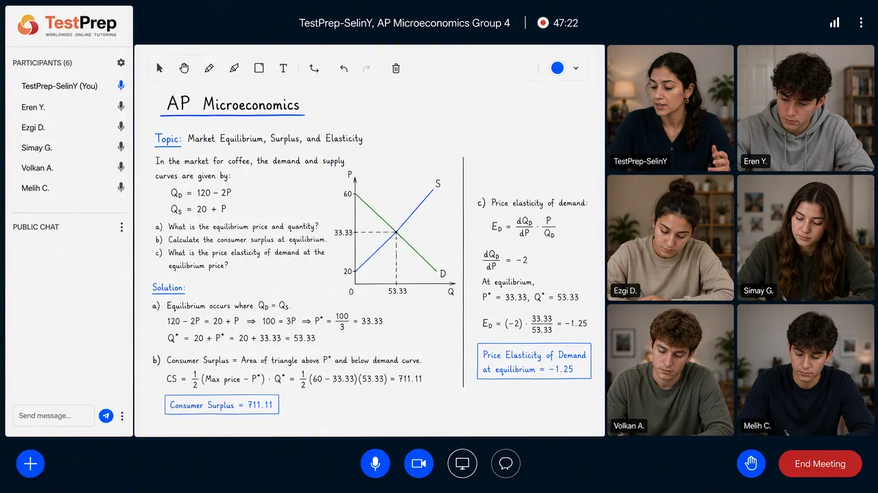 AP Microeconomics group lesson in the TestPrep classroom