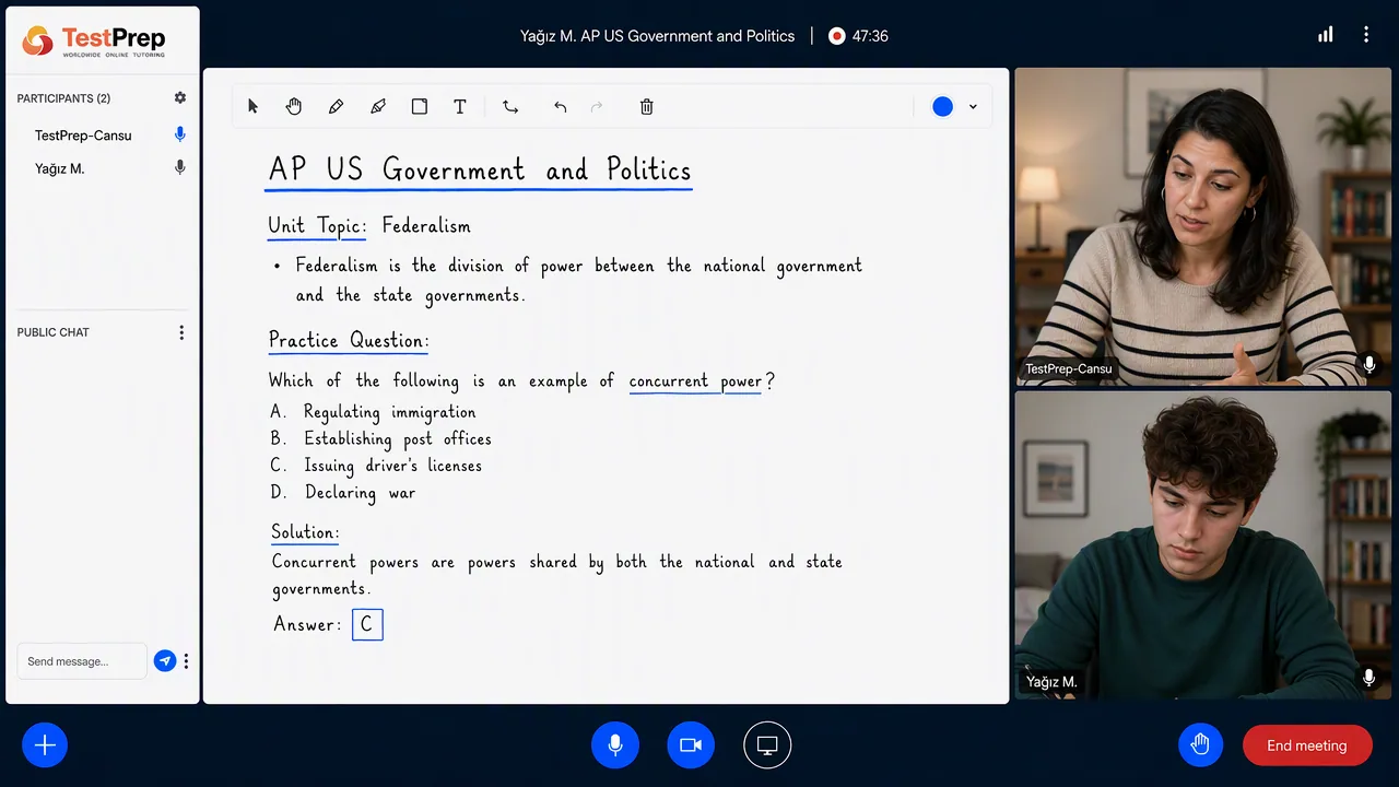 AP US Government and Politics 1-to-1 lesson in the TestPrep classroom
